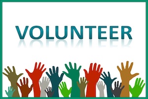 Volunteer